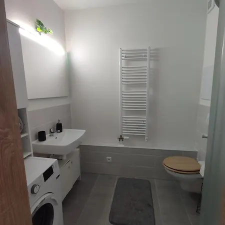 Alzbetka Breznóbánya